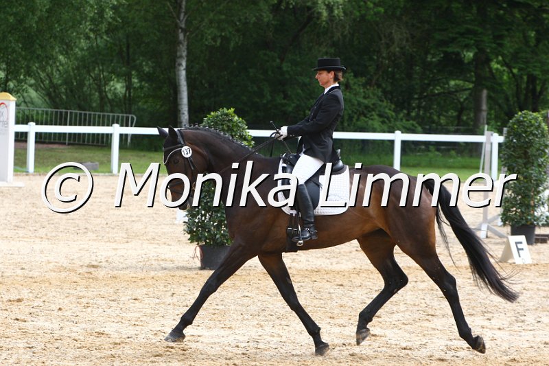 006M4222_Dressur L.JPG